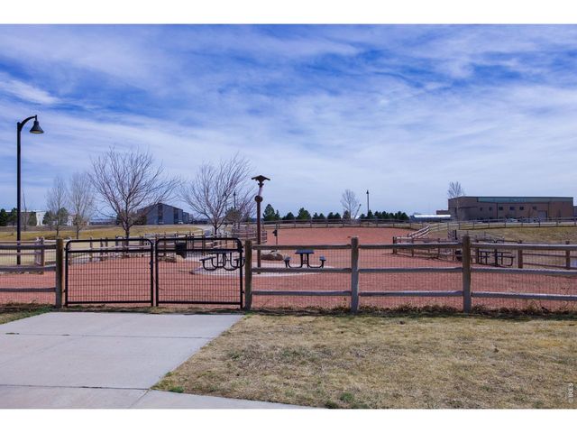 3387 Firewater Ln, Wellington, CO 80549