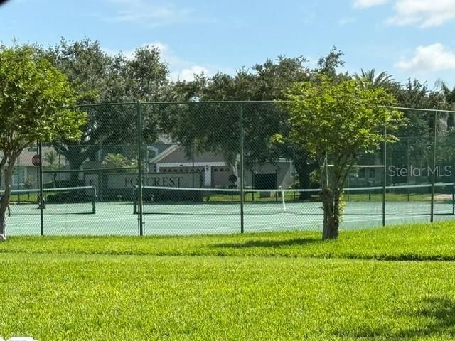 13856 GLYNSHEL DRIVE, Winter Garden, FL 34787