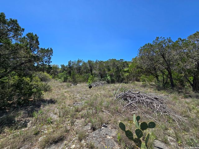 102 County Road 2732, Mico, TX 78056