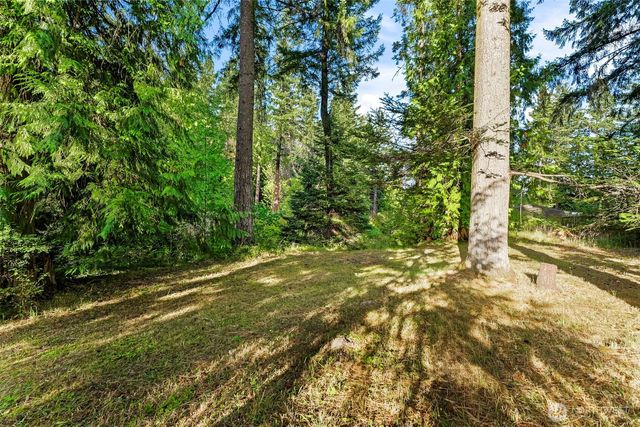 13836 166th Avenue SE, Rainier, WA 98576