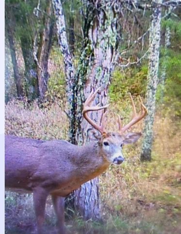 11171 Republican Pike, Cynthiana, KY 41031