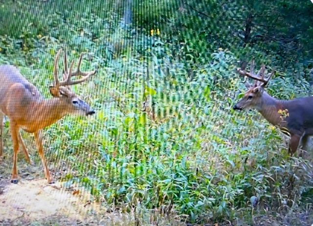 11171 Republican Pike, Cynthiana, KY 41031