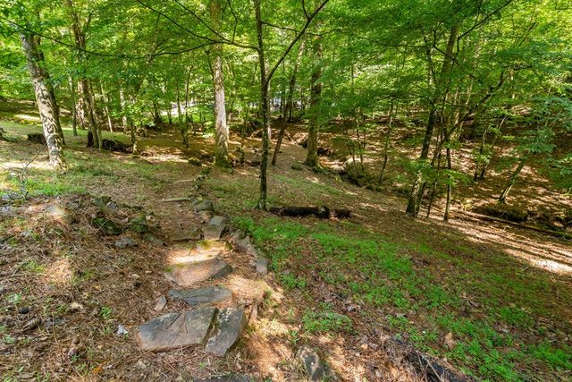 611 Monocle Drive, Ellijay, GA 30540