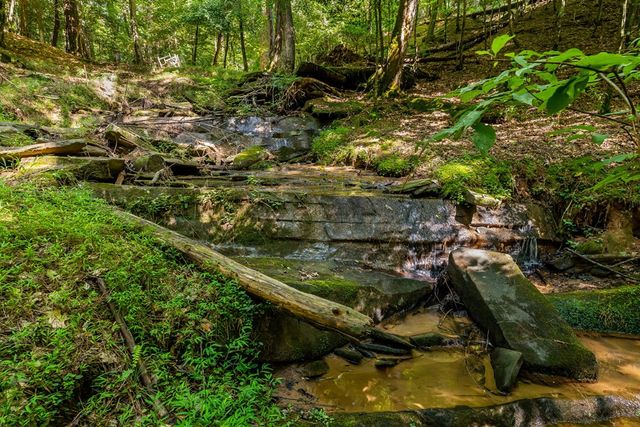 611 Monocle Drive, Ellijay, GA 30540