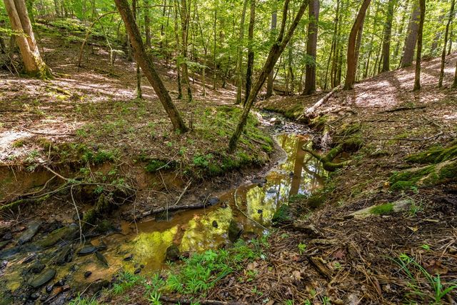 611 Monocle Drive, Ellijay, GA 30540
