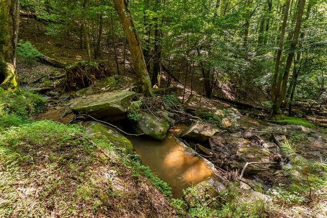 611 Monocle Drive, Ellijay, GA 30540