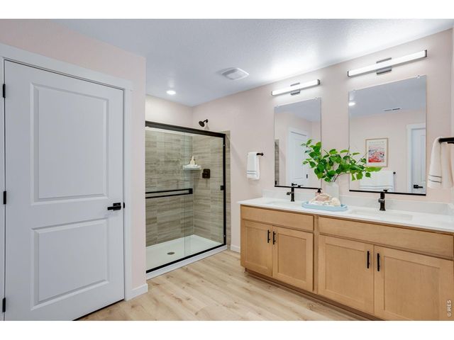 818 Trumpet Ln, Windsor, CO 80550