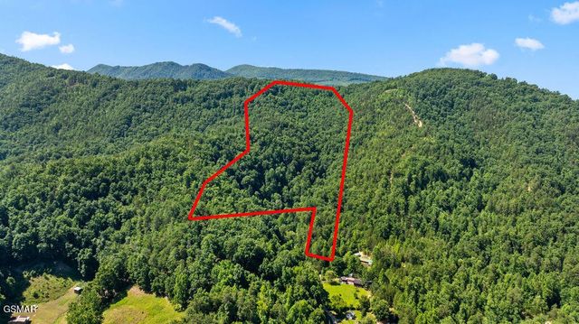 0 Boomer Way, Cosby, TN 37722