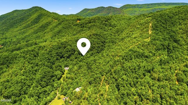0 Boomer Way, Cosby, TN 37722