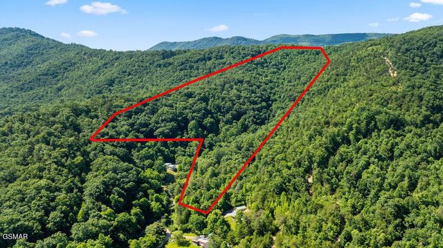 0 Boomer Way, Cosby, TN 37722