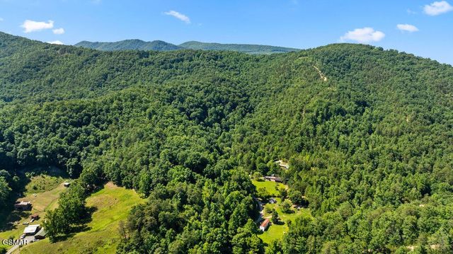 0 Boomer Way, Cosby, TN 37722