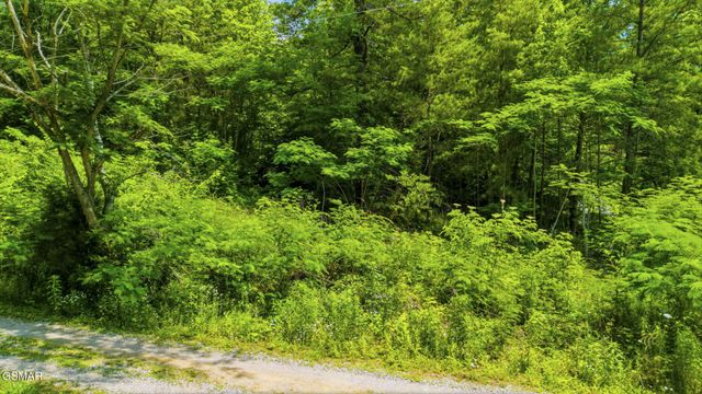 0 Boomer Way, Cosby, TN 37722