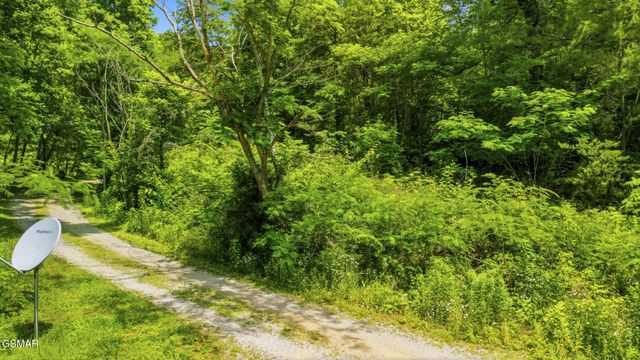 0 Boomer Way, Cosby, TN 37722
