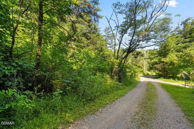 0 Boomer Way, Cosby, TN 37722