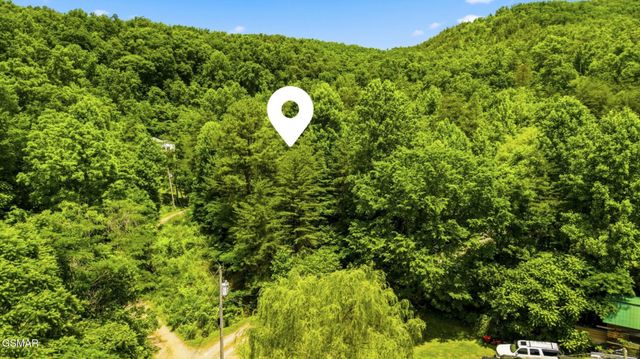 0 Boomer Way, Cosby, TN 37722