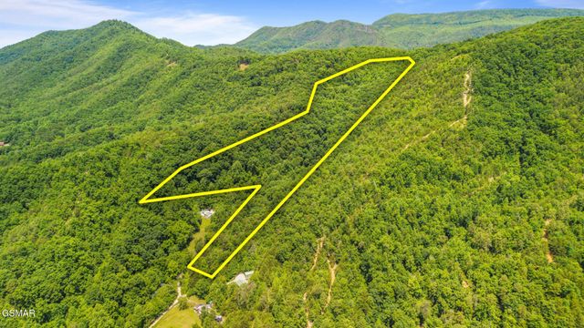 0 Boomer Way, Cosby, TN 37722