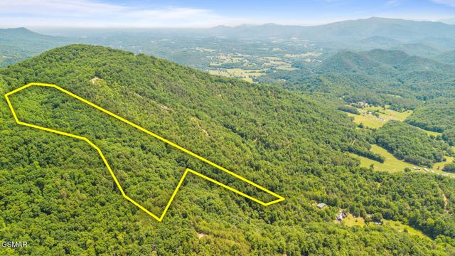 0 Boomer Way, Cosby, TN 37722