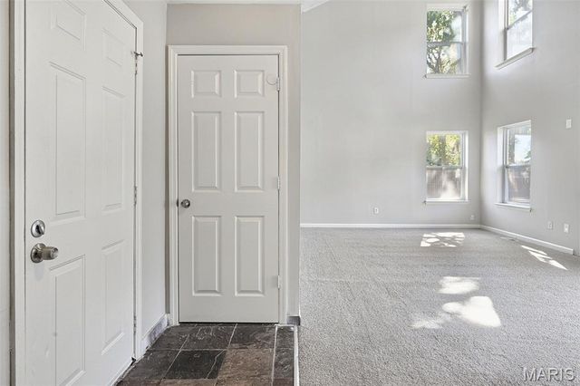 3957 Max Weich Place, Florissant, MO 63033