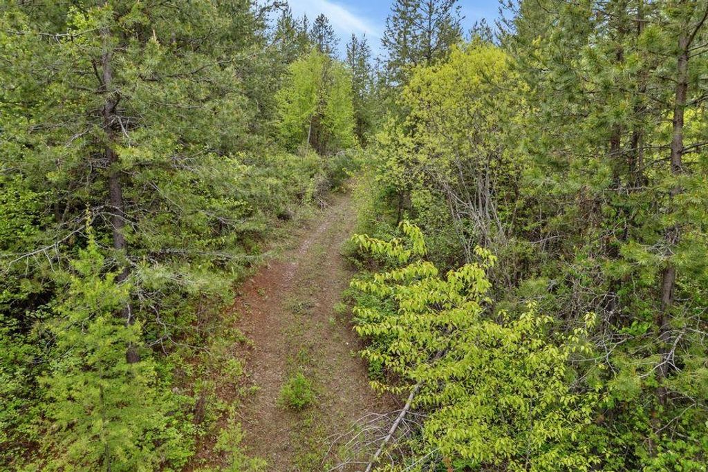 000 Hesseltine Lot 1 Rd, Valley, WA 99181 photo 15