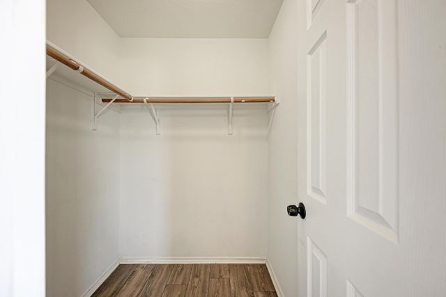 13124 Winecup Mallow TRL, Elgin, TX 78621