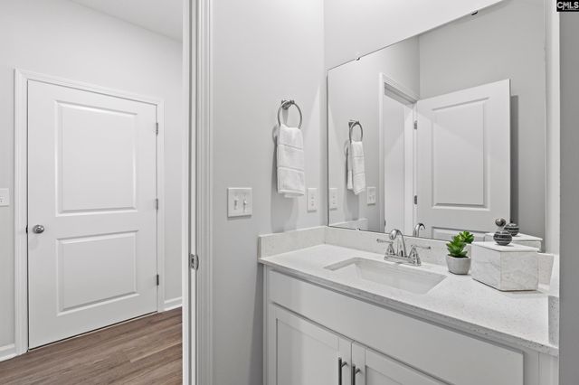 511 Bogarde Terrace, Gilbert, SC 29054