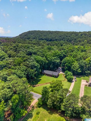716 KING ROAD, Oneonta, AL 35121