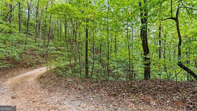 23 B Double Knob, Cherry Log, GA 30522
