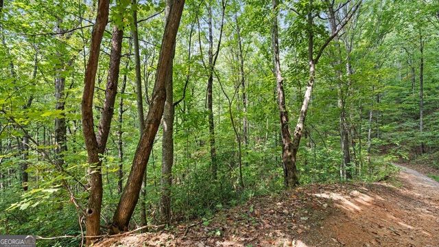 23 B Double Knob, Cherry Log, GA 30522