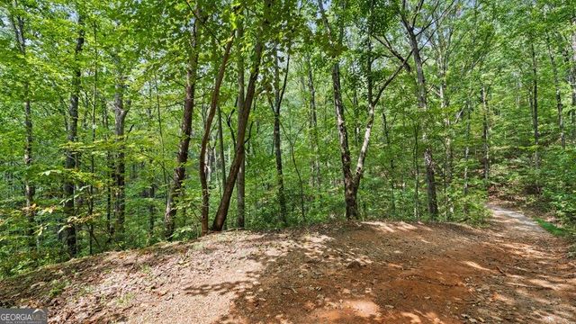 23 B Double Knob, Cherry Log, GA 30522