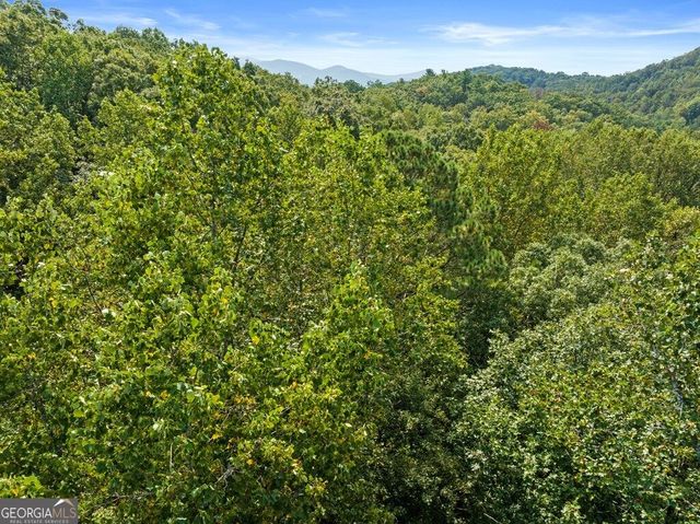 23 B Double Knob, Cherry Log, GA 30522