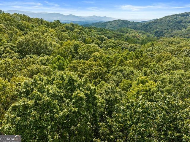 23 B Double Knob, Cherry Log, GA 30522