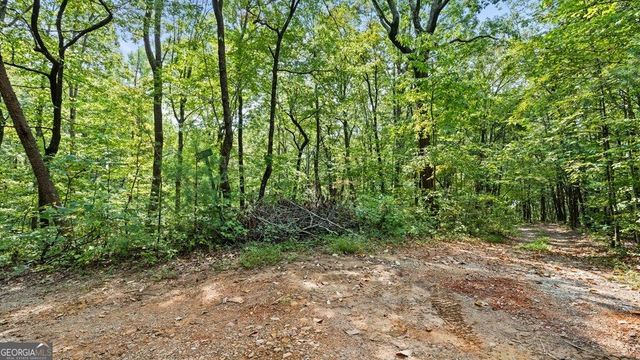 23 B Double Knob, Cherry Log, GA 30522