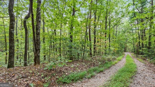 23 B Double Knob, Cherry Log, GA 30522