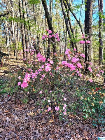 30 HIDDEN HILLS LANE, Talladega, AL 35160