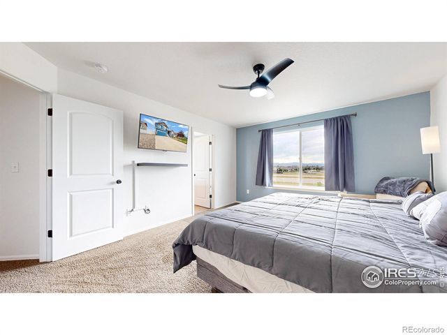 7437 Home Stretch Drive, Wellington, CO 80549