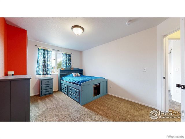 7437 Home Stretch Drive, Wellington, CO 80549