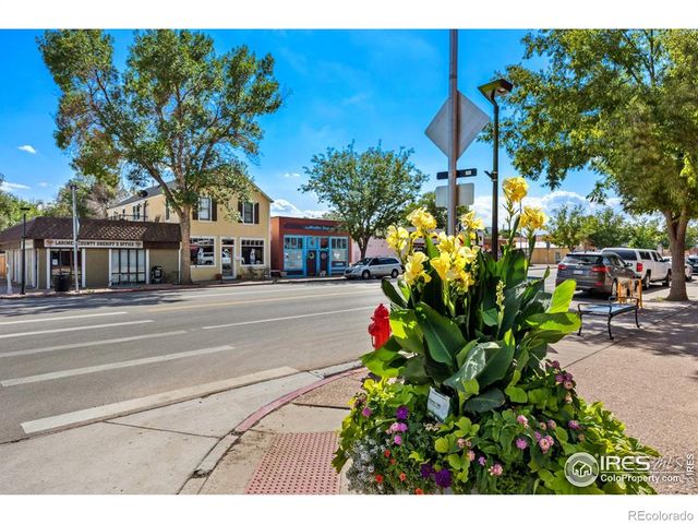 7437 Home Stretch Drive, Wellington, CO 80549