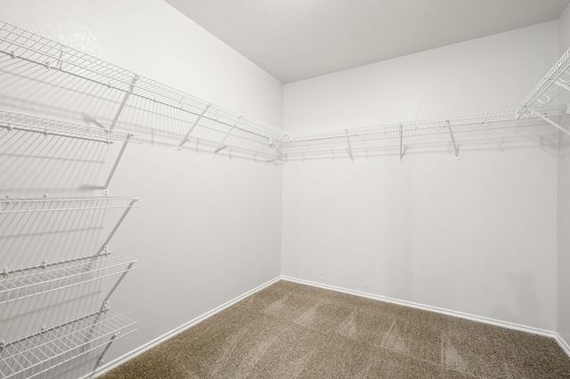 710 Alamo Plaza DR, Cedar Park, TX 78613