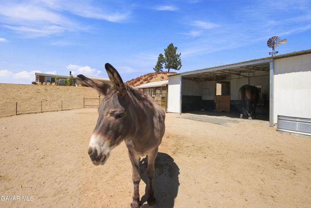 40051 W 72nd Street, Leona Valley, CA 93551