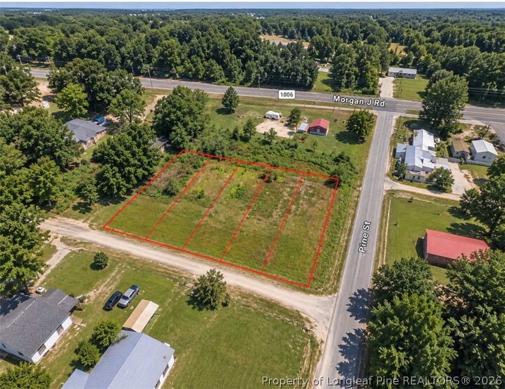 Pine Street, Rennert, NC 28386 — photo 3
