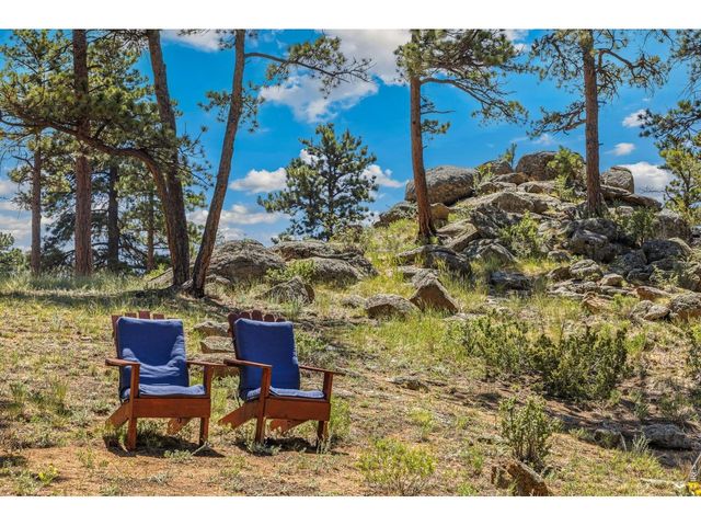 731 Windy Rose Dr, Estes Park, CO 80517