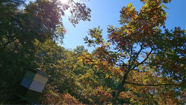 241 Cornell Road, Tiverton, RI 02878