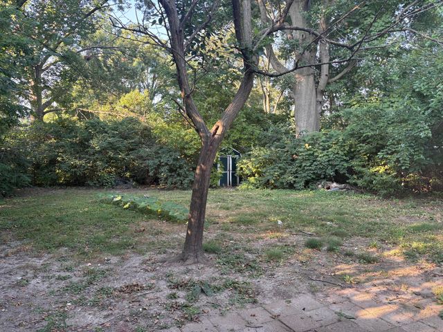 816 MIKEL ST, Columbia, MO 65203
