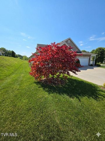11579 Meadowood Drive 6a, Bristol, VA 24202