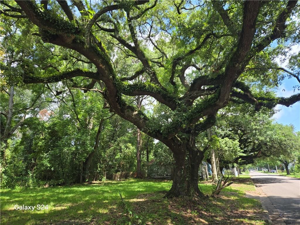 1200 Arlington Street, Mobile, AL 36605