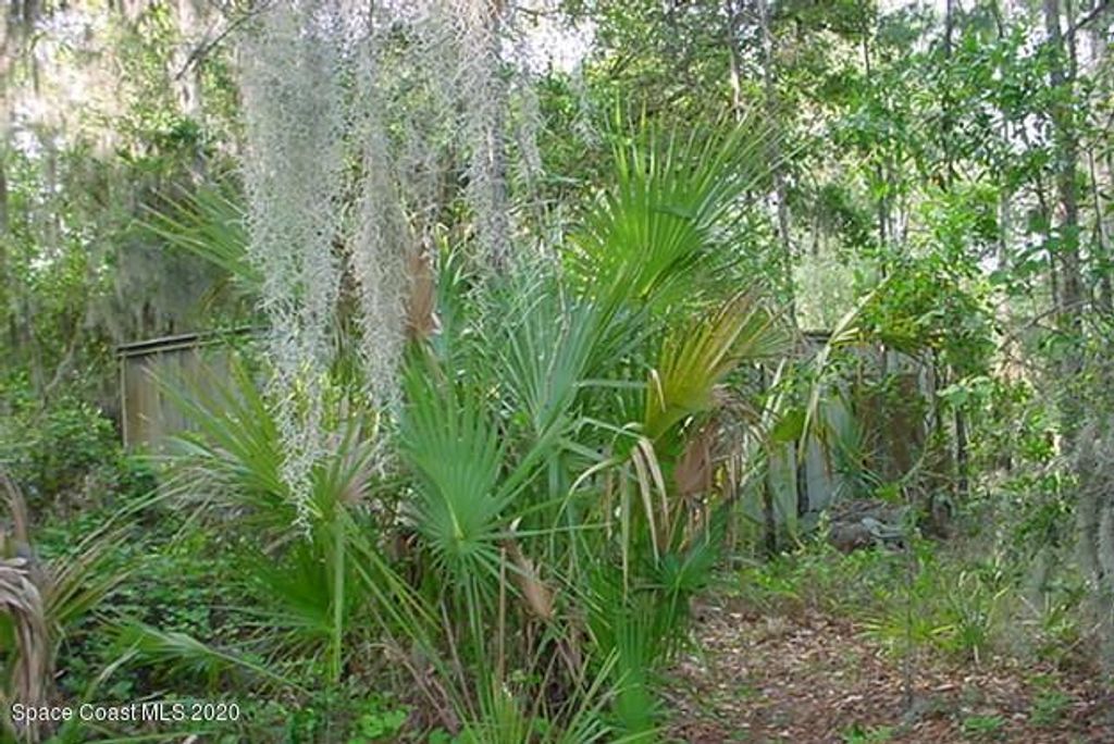 0 Sisson Road, Titusville, FL 32780