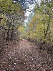 316 Arbor, Linden, TN 37096