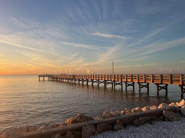 3273 MANGROVE POINT DRIVE, Ruskin, FL 33570