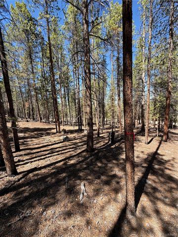 350 Mount Massive Drive, Twin Lakes, CO 81251
