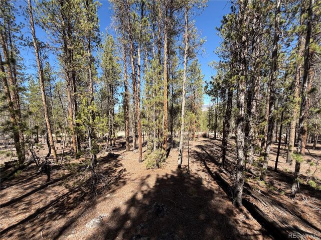 350 Mount Massive Drive, Twin Lakes, CO 81251